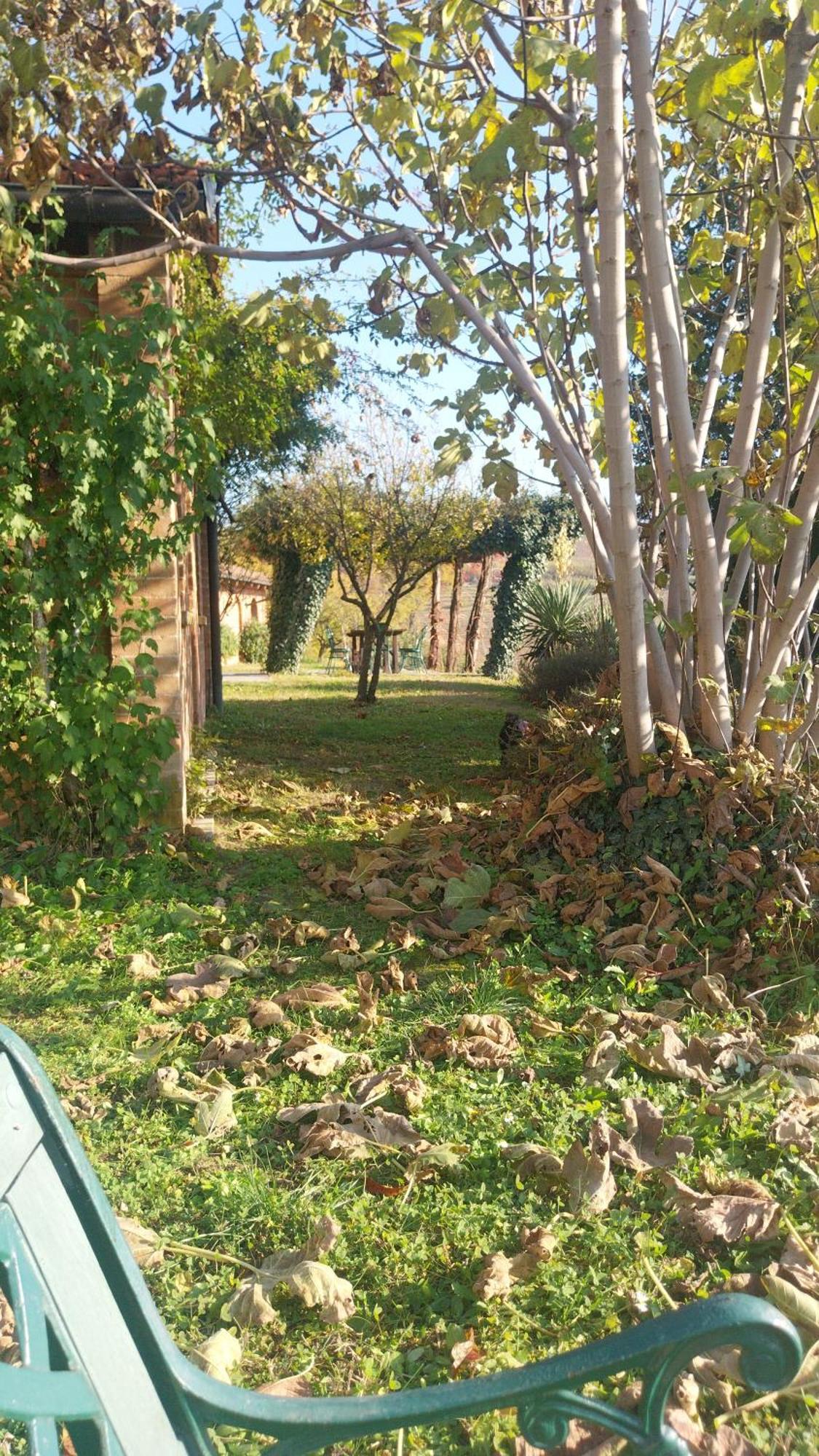 Tenuta Montanello B&B Castiglione Falletto Exterior foto