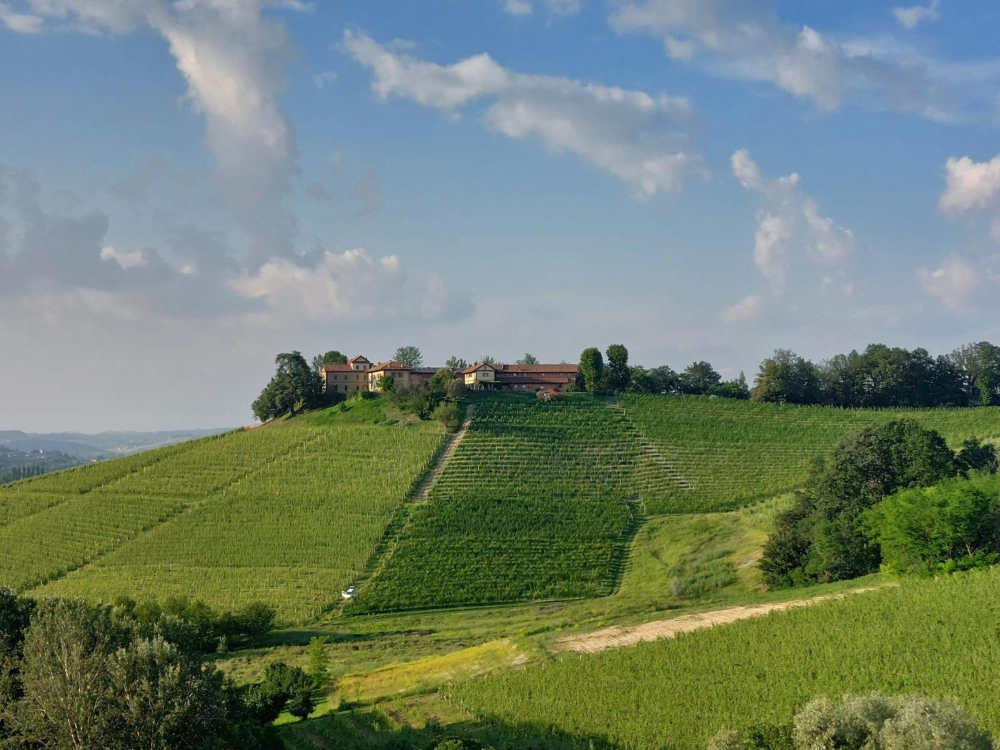 Tenuta Montanello B&B Castiglione Falletto Exterior foto